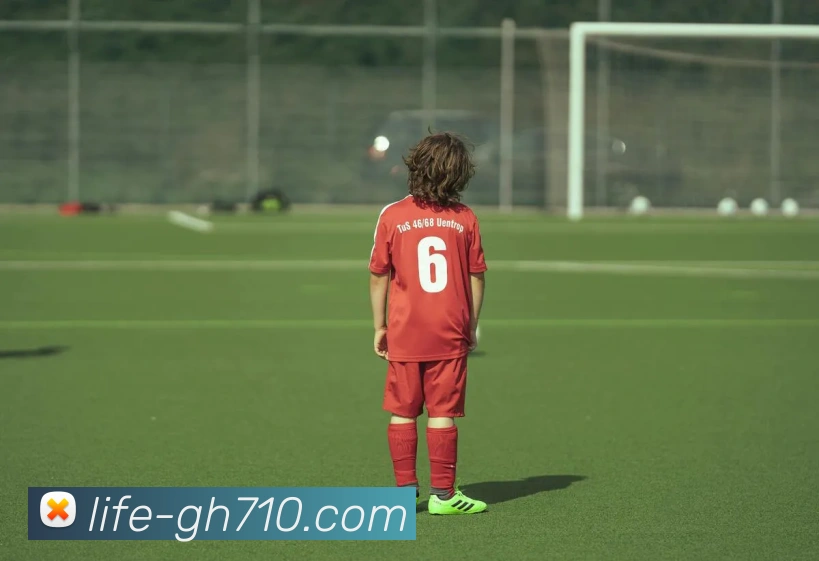 公海710官网APP 高清赛事图