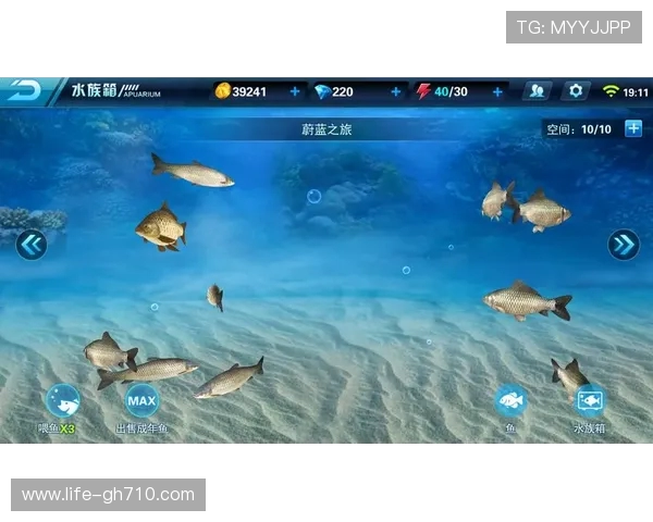 《钓鱼探险之刮鳞喂鱼大挑战乐园》