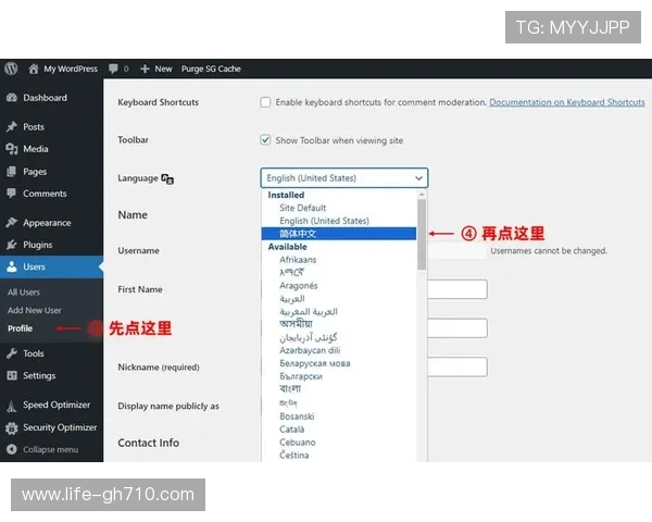 日版Switch2游戏是否支持中文语言选项？详解如何调中文设置